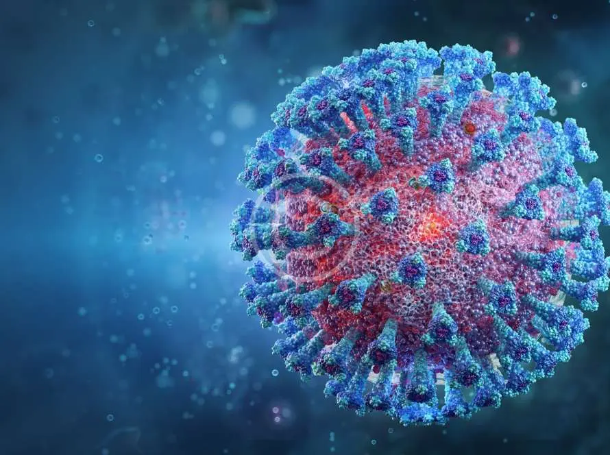 Dani Torrico Psicólogo -  - post11 copyright