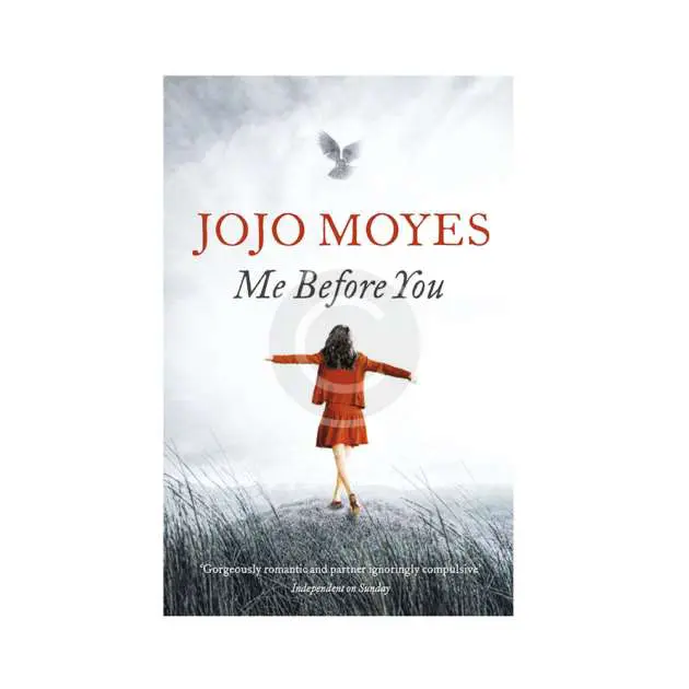 Dani Torrico Psicólogo - When the Laughter Stops - prod3 copyright